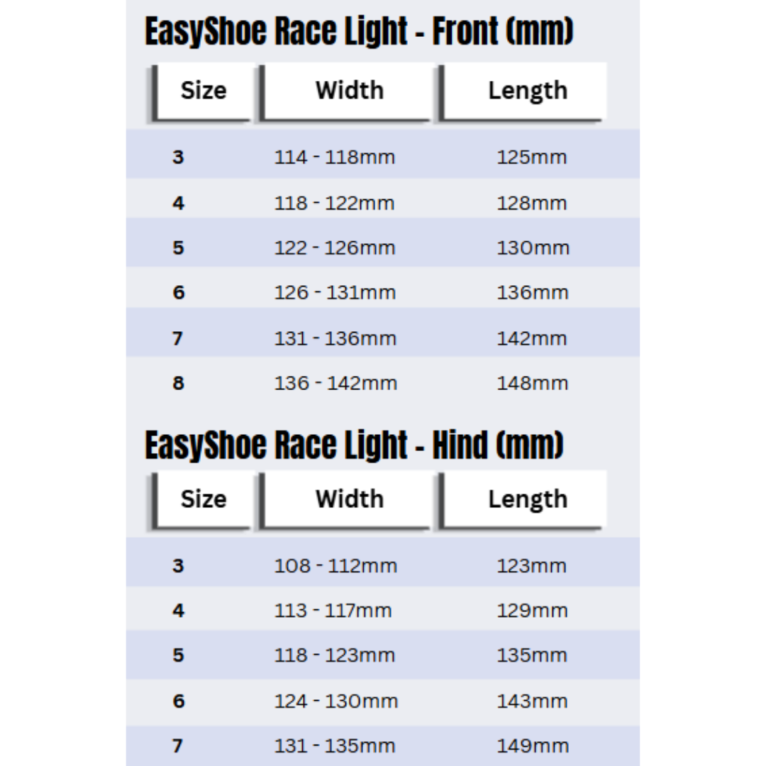 EasyShoe Race Light Size Chart