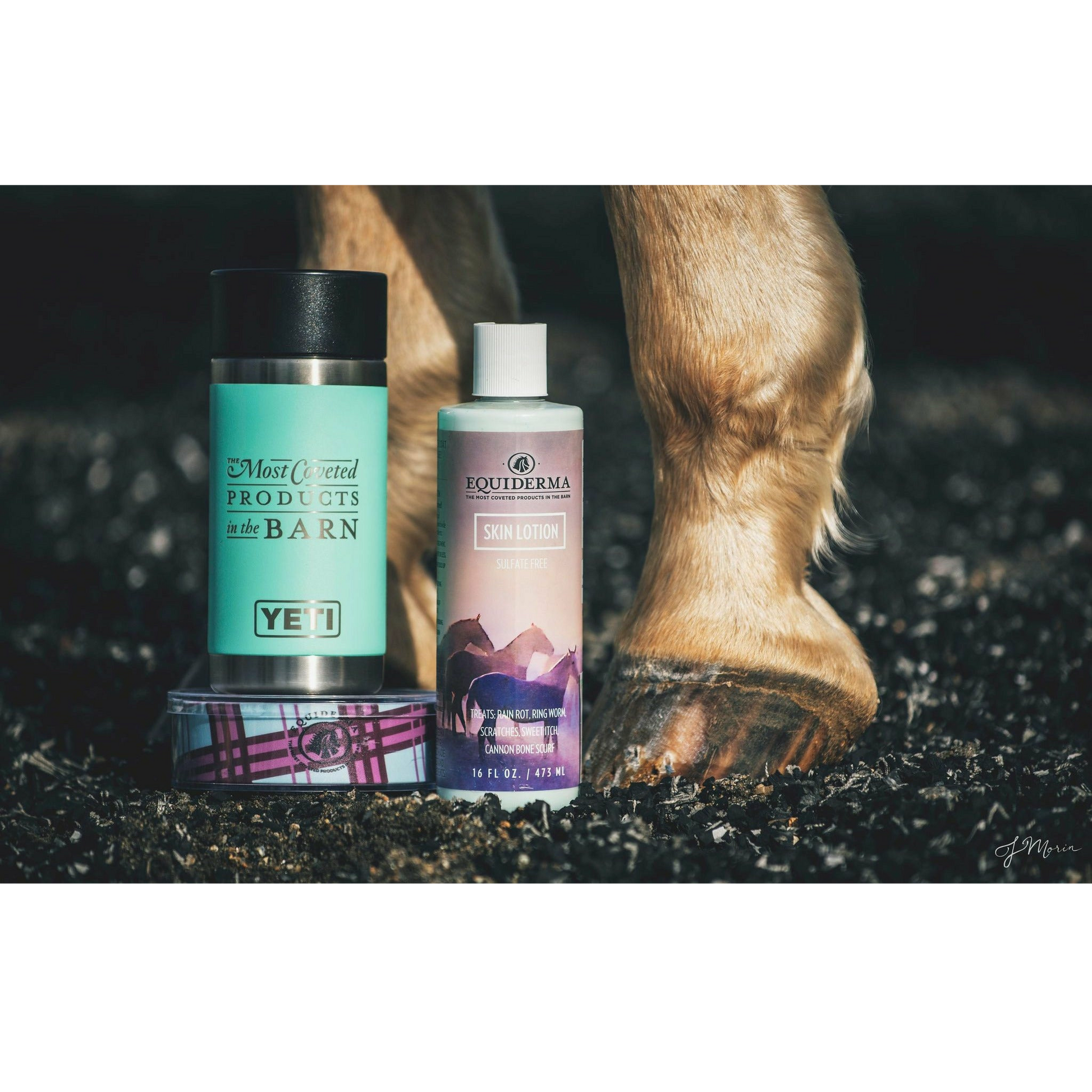 Equiderma Horse Skin Lotion 16oz with Horse