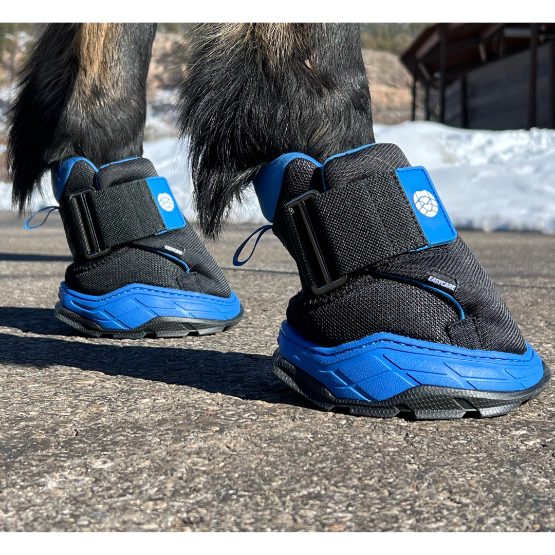 EasyCare Easyboot Rx2 on Horse