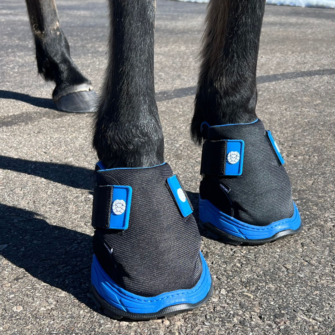 EasyCare Easyboot Rx2 Front View on Horse