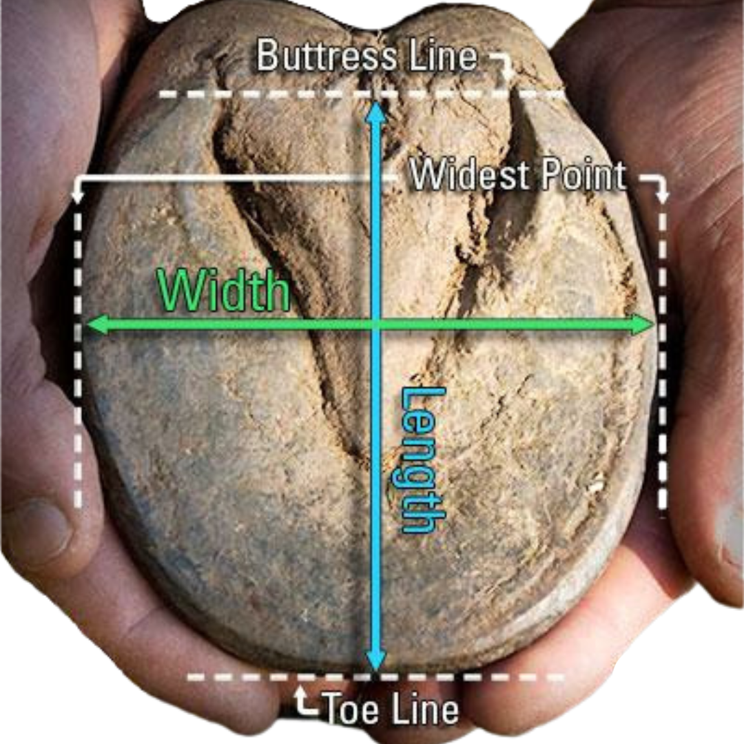 EasyCare Easyboot Back Country (2016) Hoof Measurement Guide