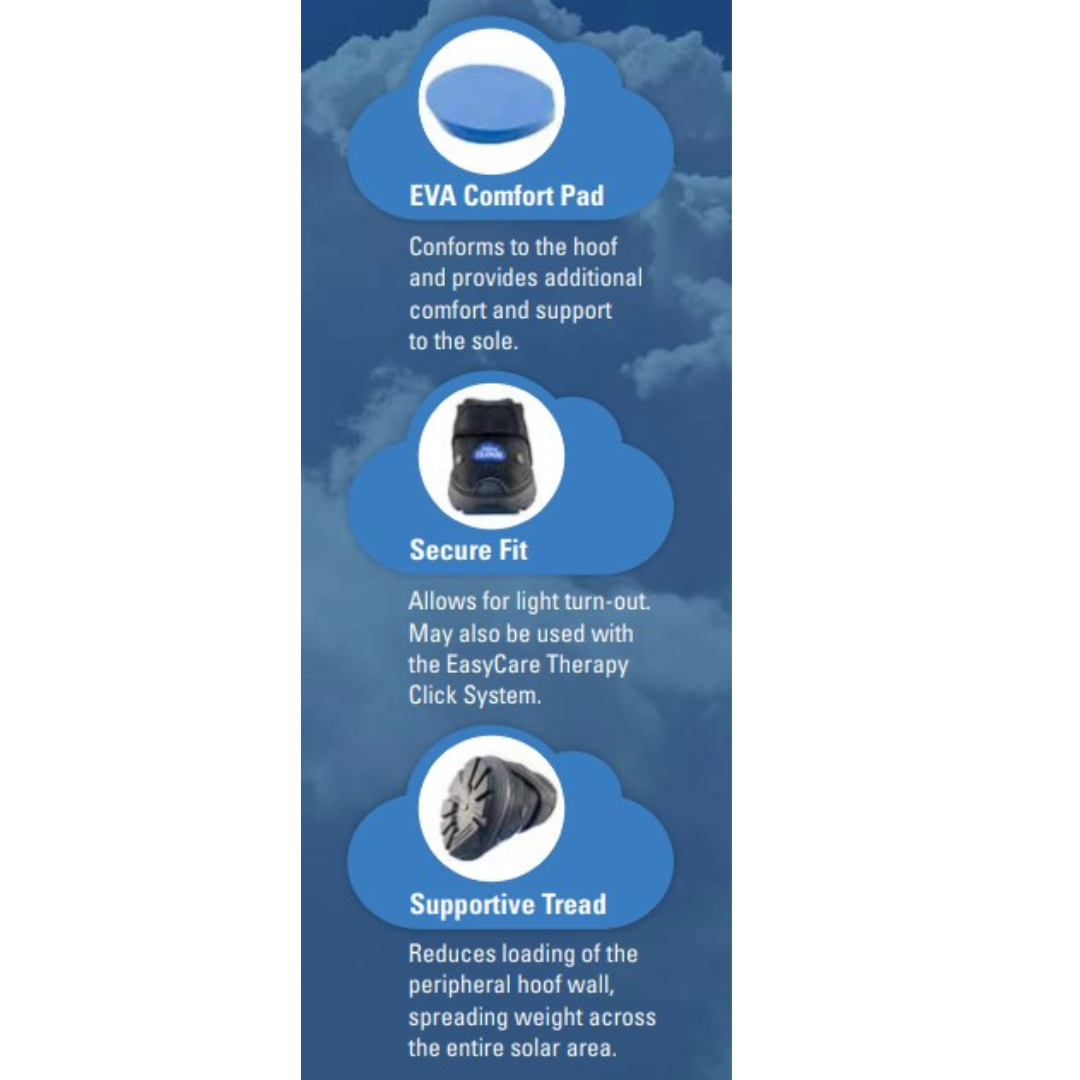 EasyCare Easyboot Cloud Boot Information