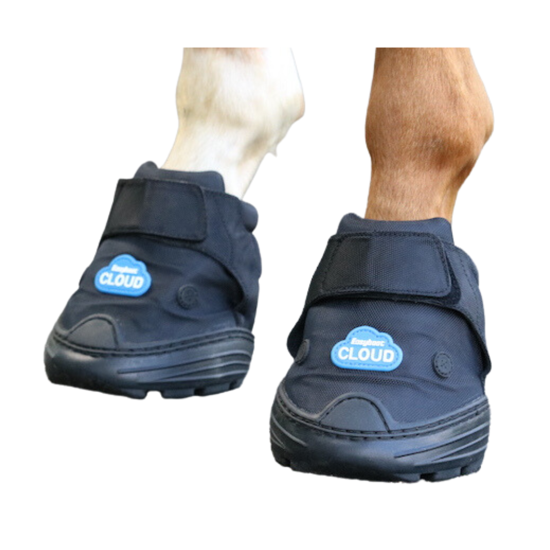 EasyCare Easyboot Cloud Boot on Horse