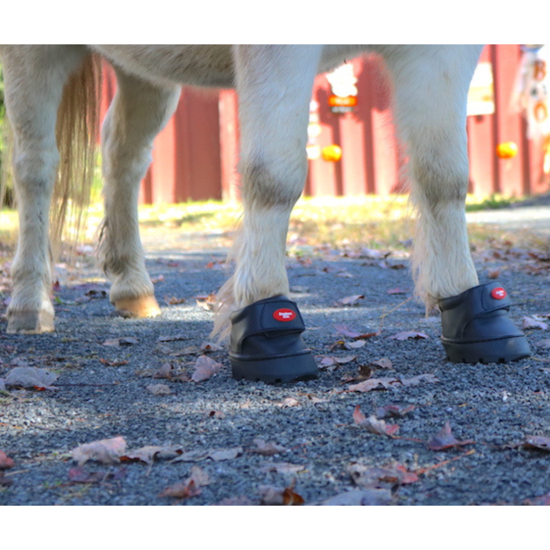 Easyboot Mini angle view on horse