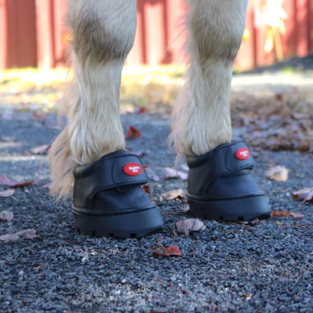 Easyboot Mini toe angle on horse