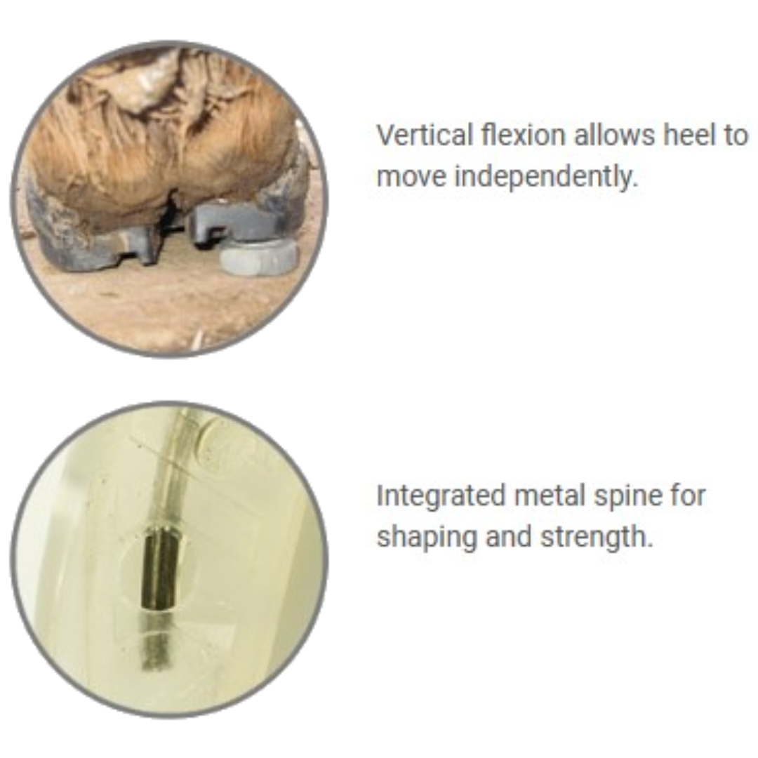 EasyCare EasyShoe Compete Soul Flexion