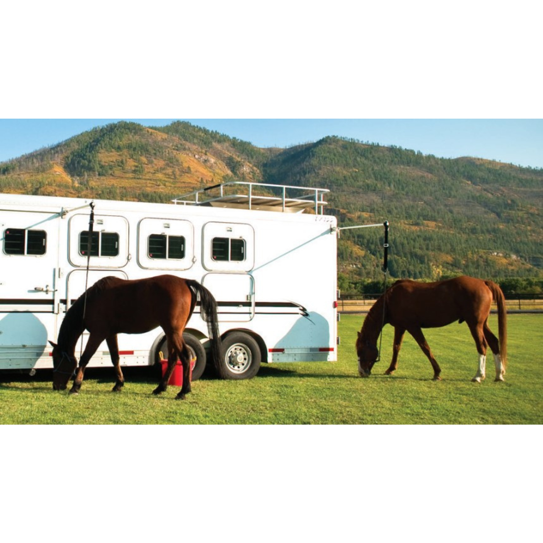EasyCare HiTie System Attached to Trailer with 2 Horses