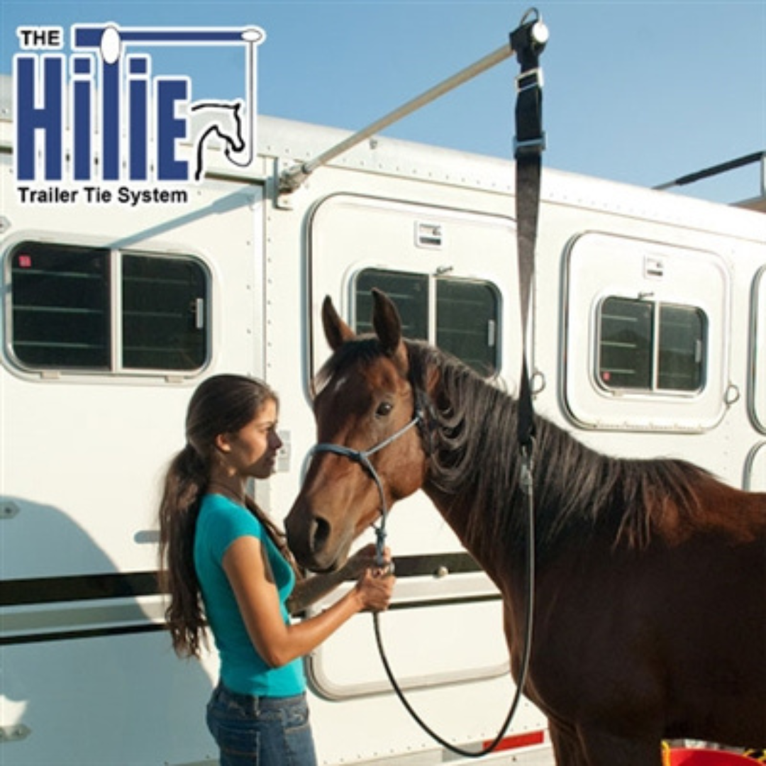 EasyCare HiTie Trailer Tie System
