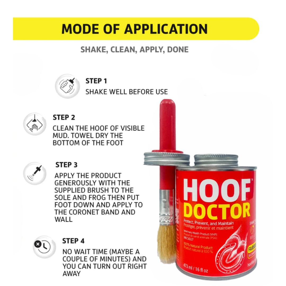 Hoof Doctor Application Guide