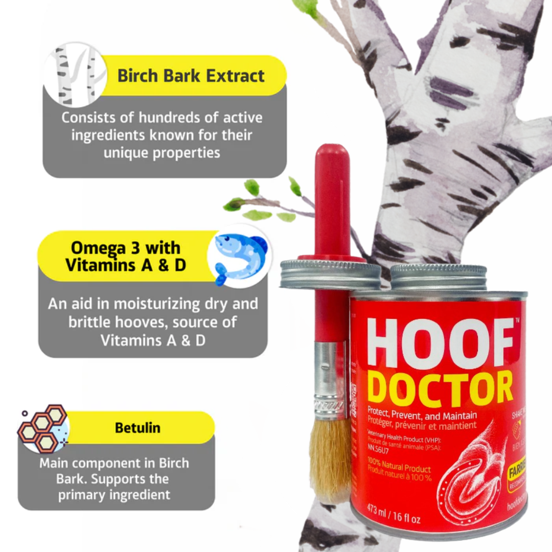 Hoof Doctor - Liquid Ingredients