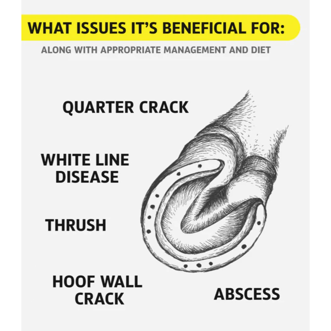 Hoof Doctor - Putty Benefits
