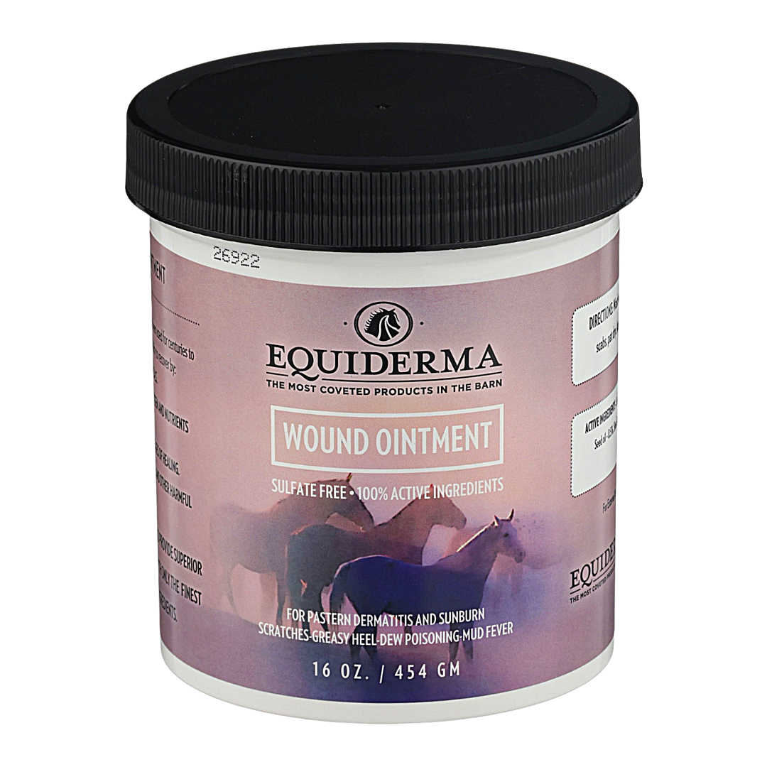 Equiderma Wound Ointment - 16oz Dark Gray
