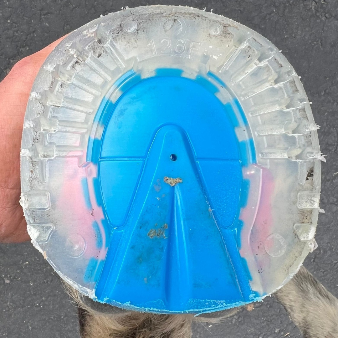EasyShoe One Glue Worn