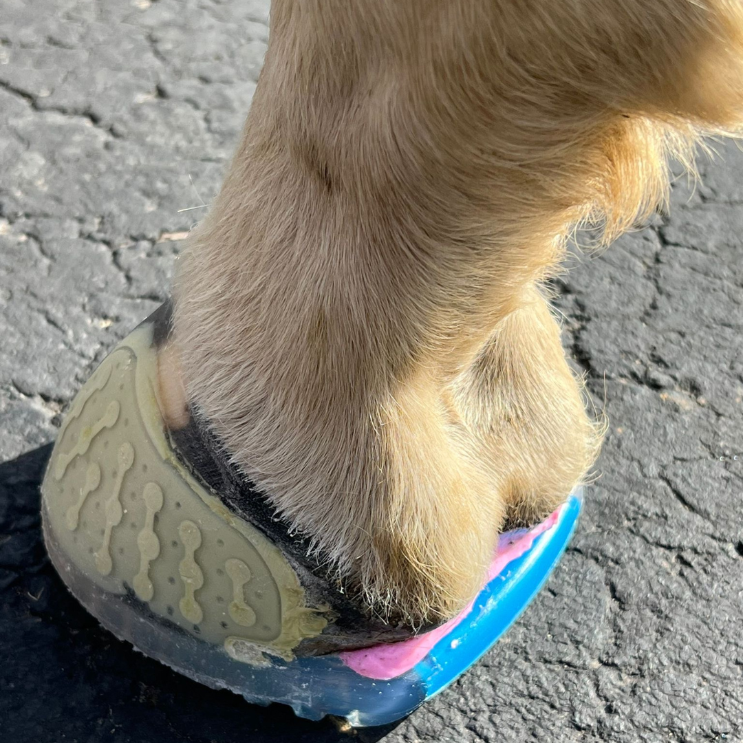 EasyShoe One Glue On Hoof 1