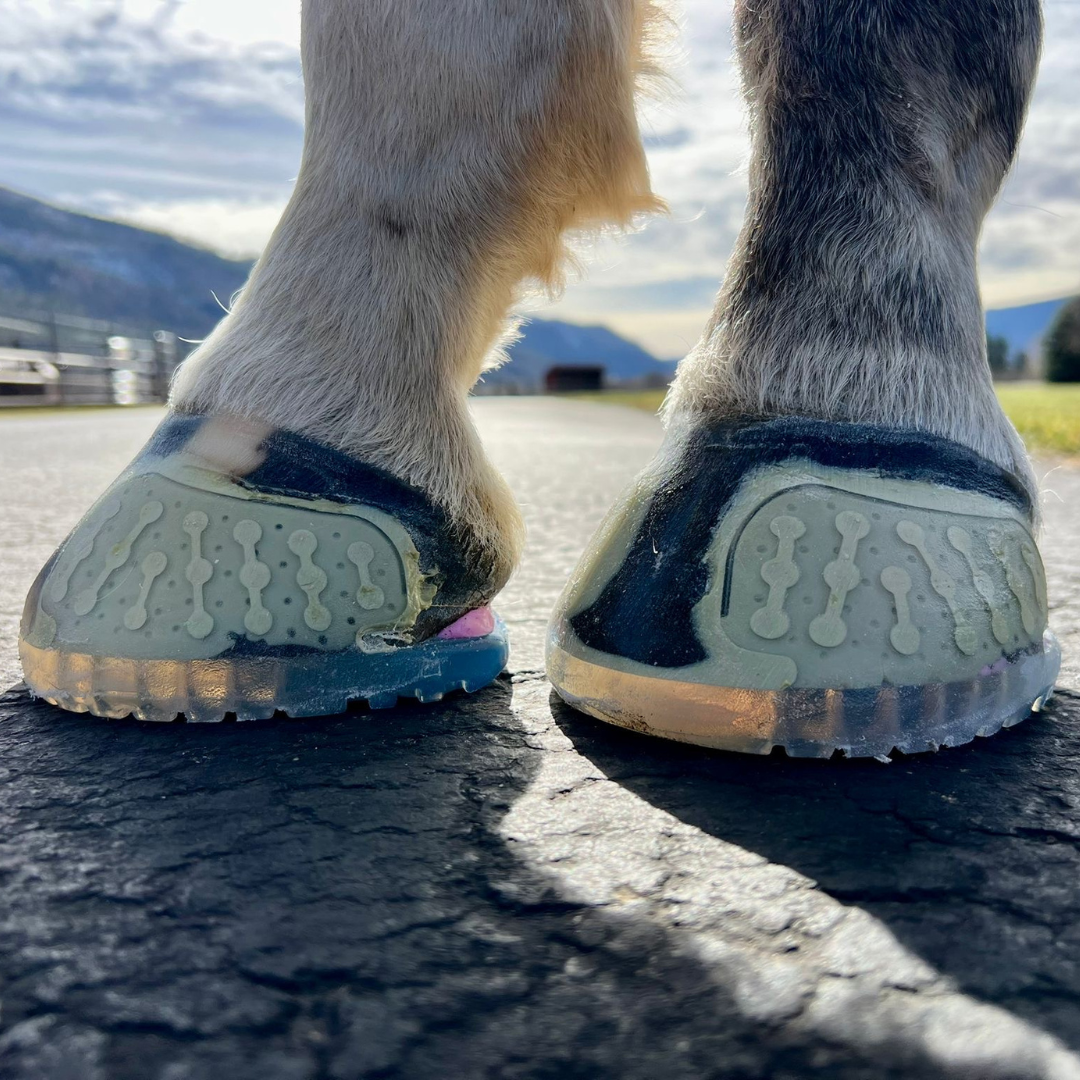 EasyShoe One Glue on Hoof 2