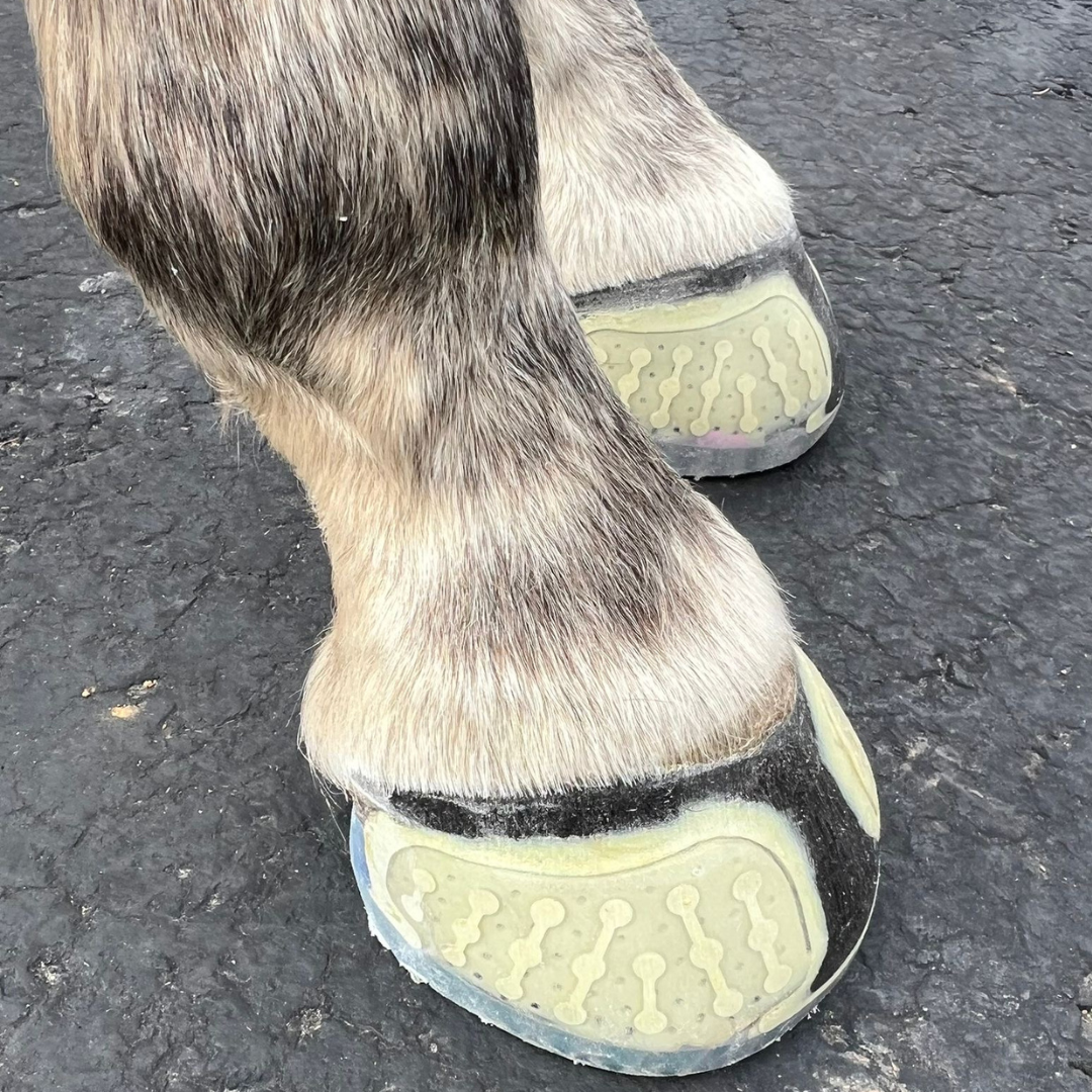 EasyShoe One Glue on Hoof 3