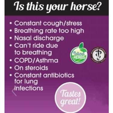 Heave Ho - For Improving Breathing Info