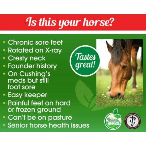 Heiro for Horses - for Insulin Info