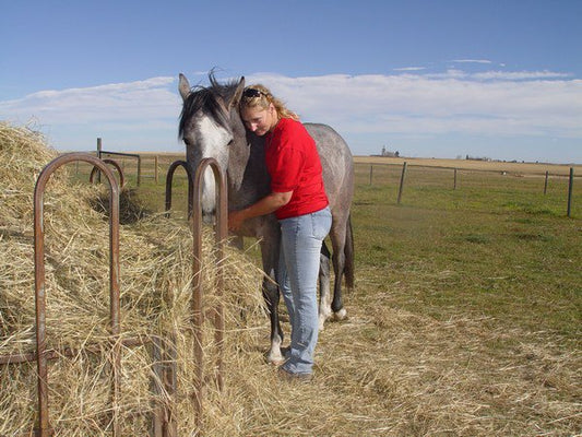 Meet Sarah Chambers, owner of Horse Gear Canada!
