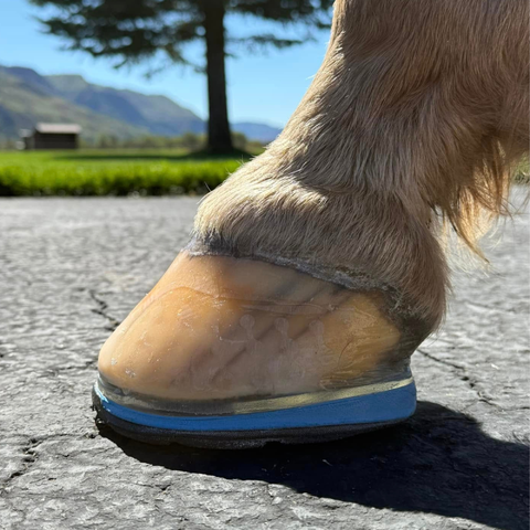 EasyShoe Triple D Side View on Horse