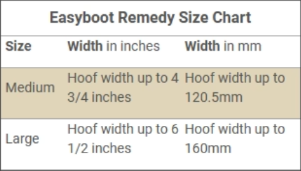 EasyBoot Remedy Size Chart