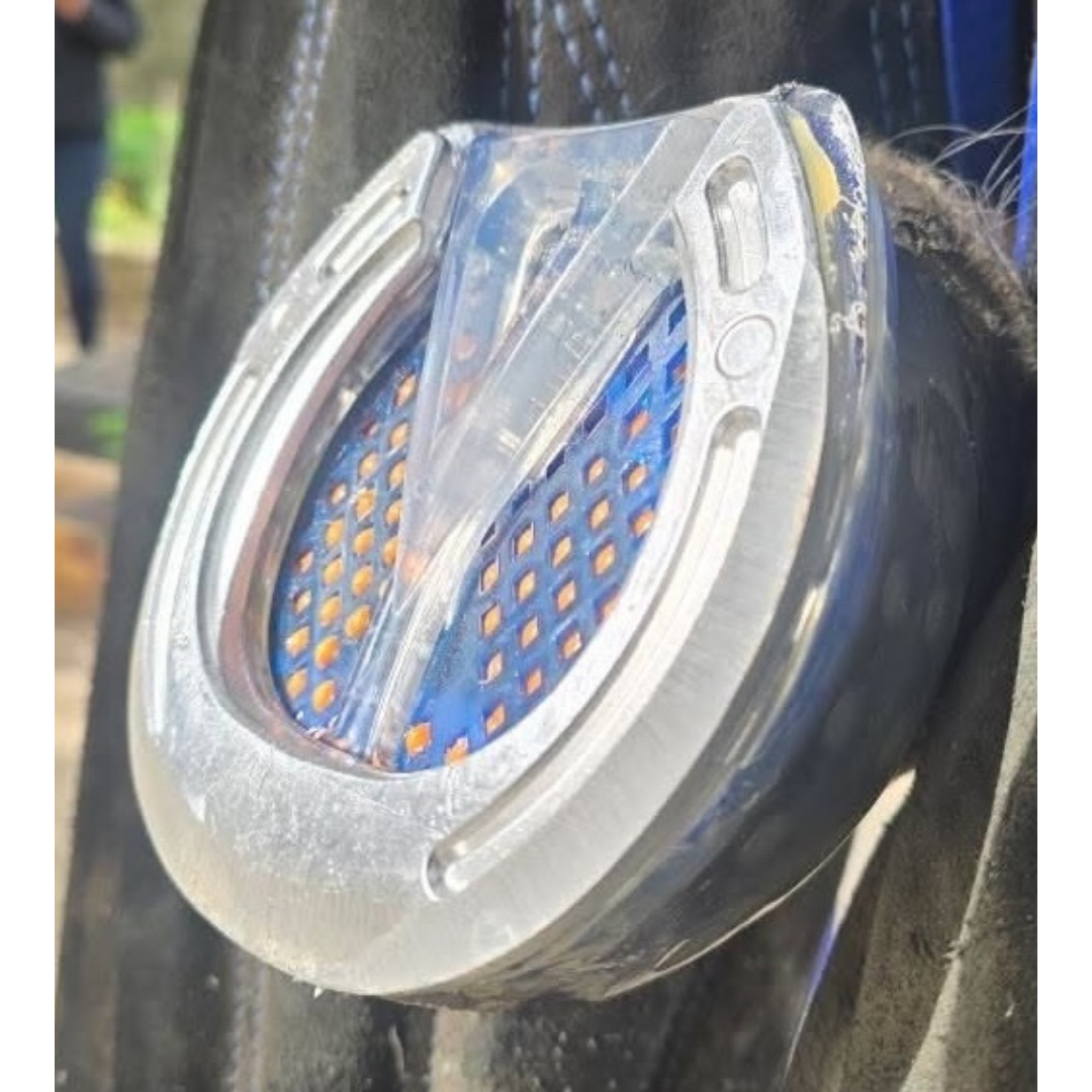 EasyShoe Mesh Pad on Horse