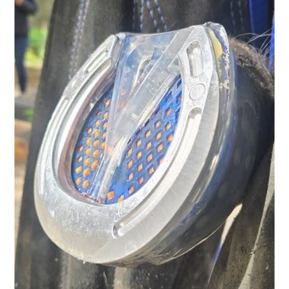 EasyShoe Mesh Pad on Horse