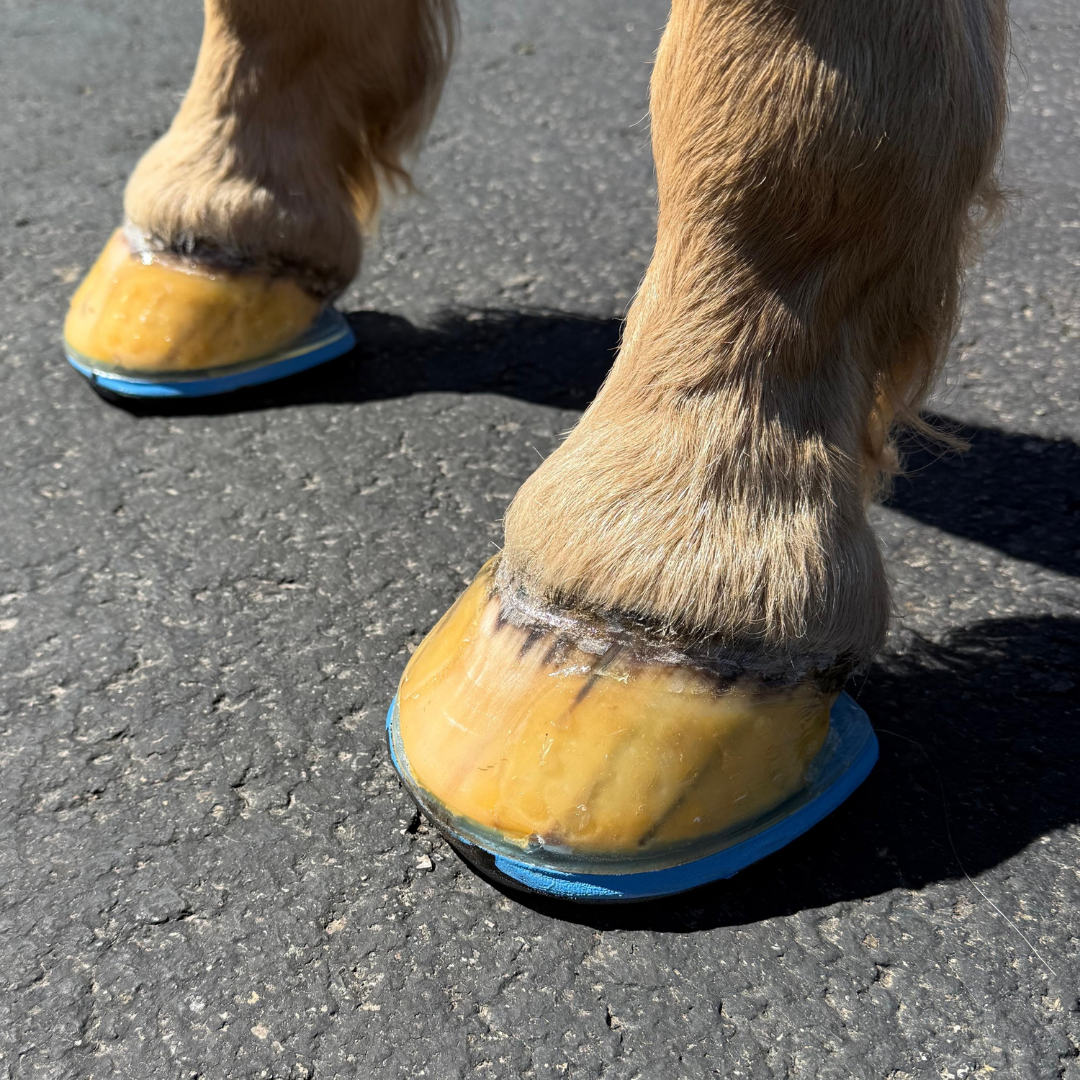 EasyShoeUltraTripleD - Front Side View on Horse