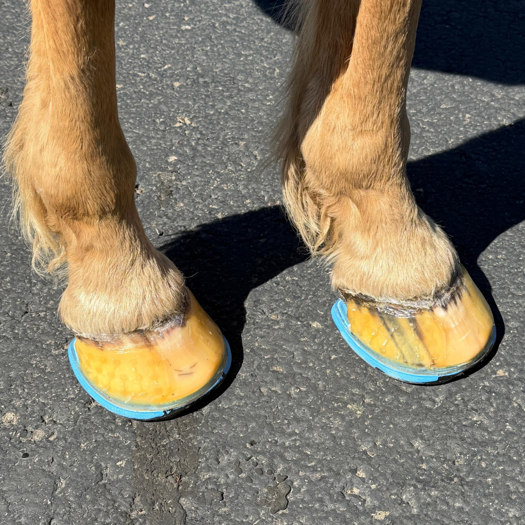 EasyShoeUltraTripleD - Front Side View on Horse