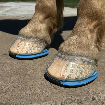EasyShoeUltraTripleD - Front View on Horse