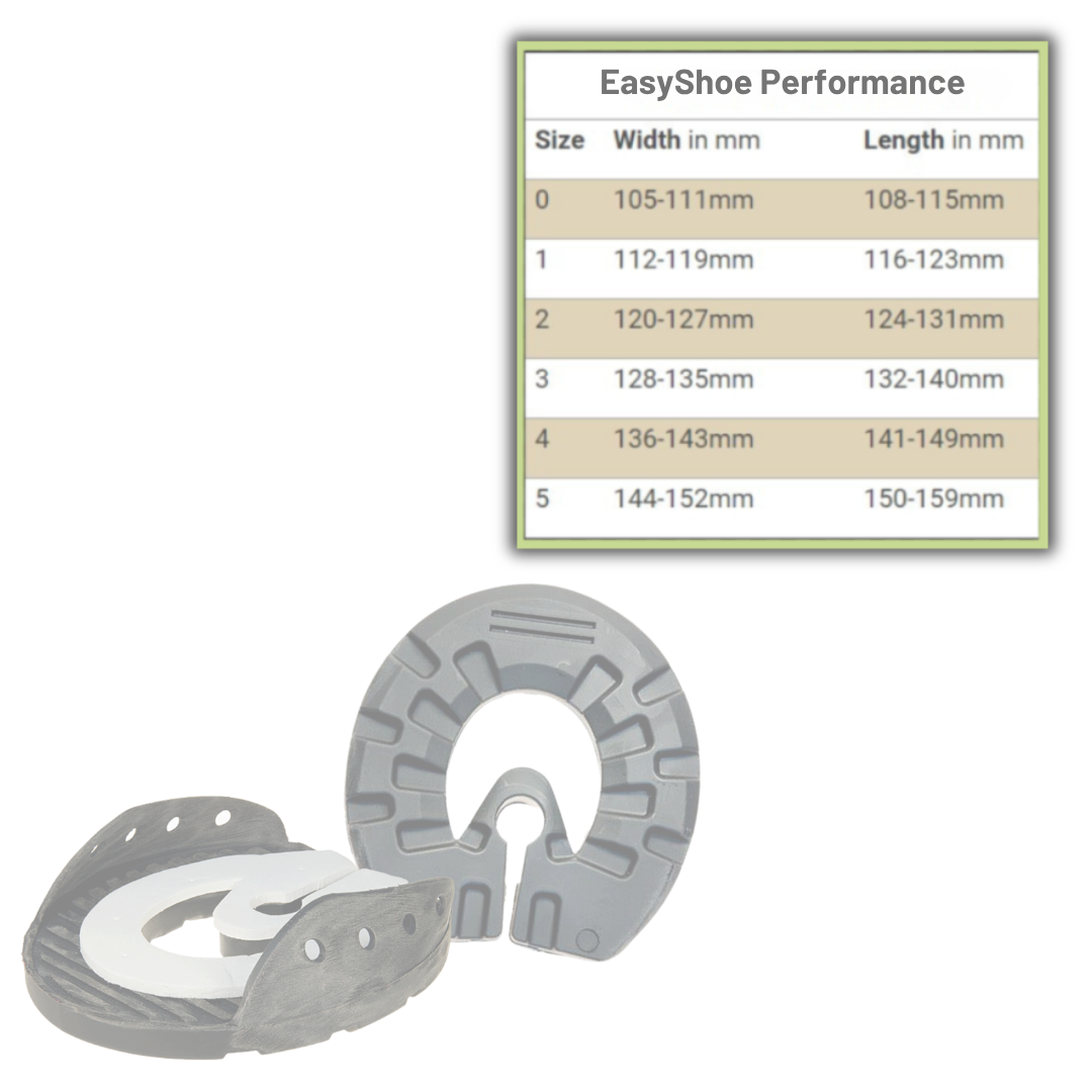 EasyShoe Performance and Size Chart