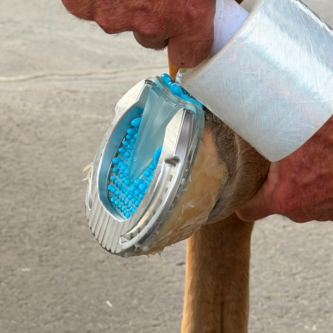 EasyShoe RS Rocker - Underside on Horse used with Heavy Duty wrap