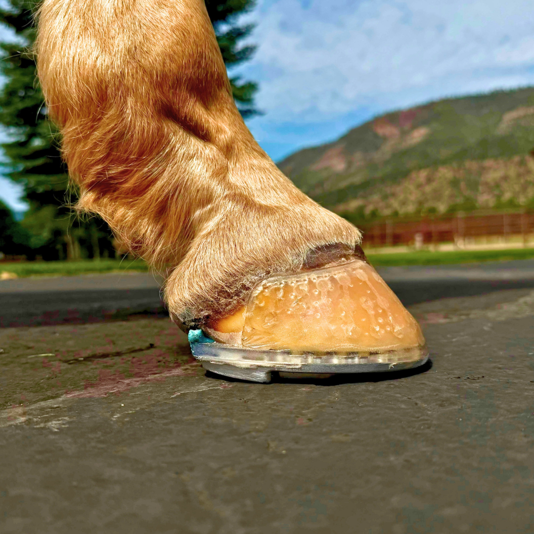 EasyShoe RS Rocker - On horse side view