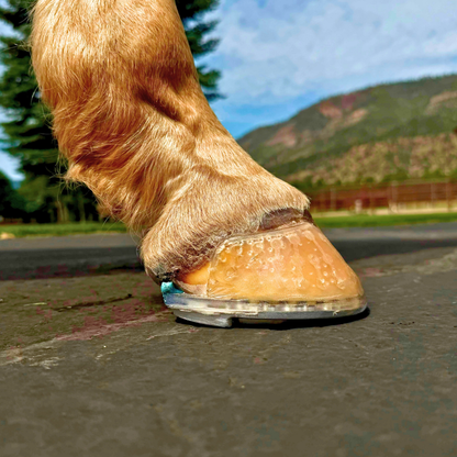 EasyShoe RS Rocker - On horse side view