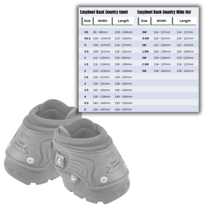Easyboot Back Country Boots and Size Charts
