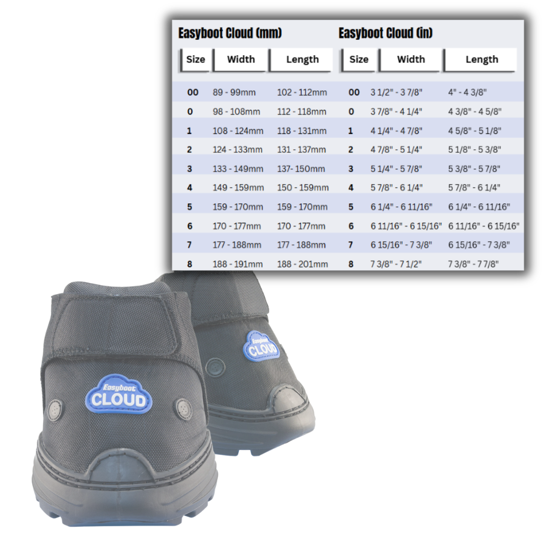 Easyboot Cloud Boots and Size Chart