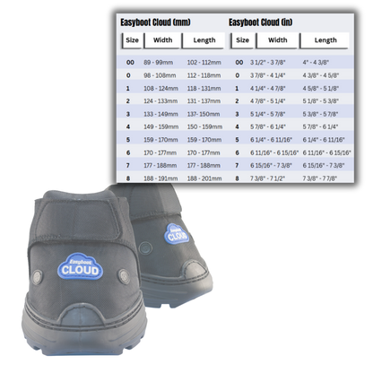 Easyboot Cloud Boots and Size Chart