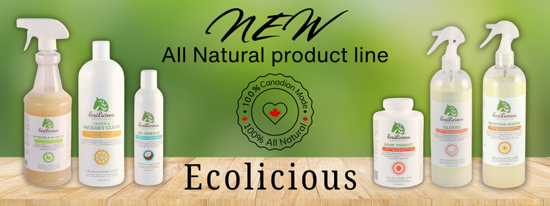 New Ecolicious Products