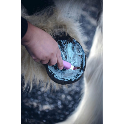Equiderma Horse Thrush & Whiteline Treatment Applied to Hoof Soul