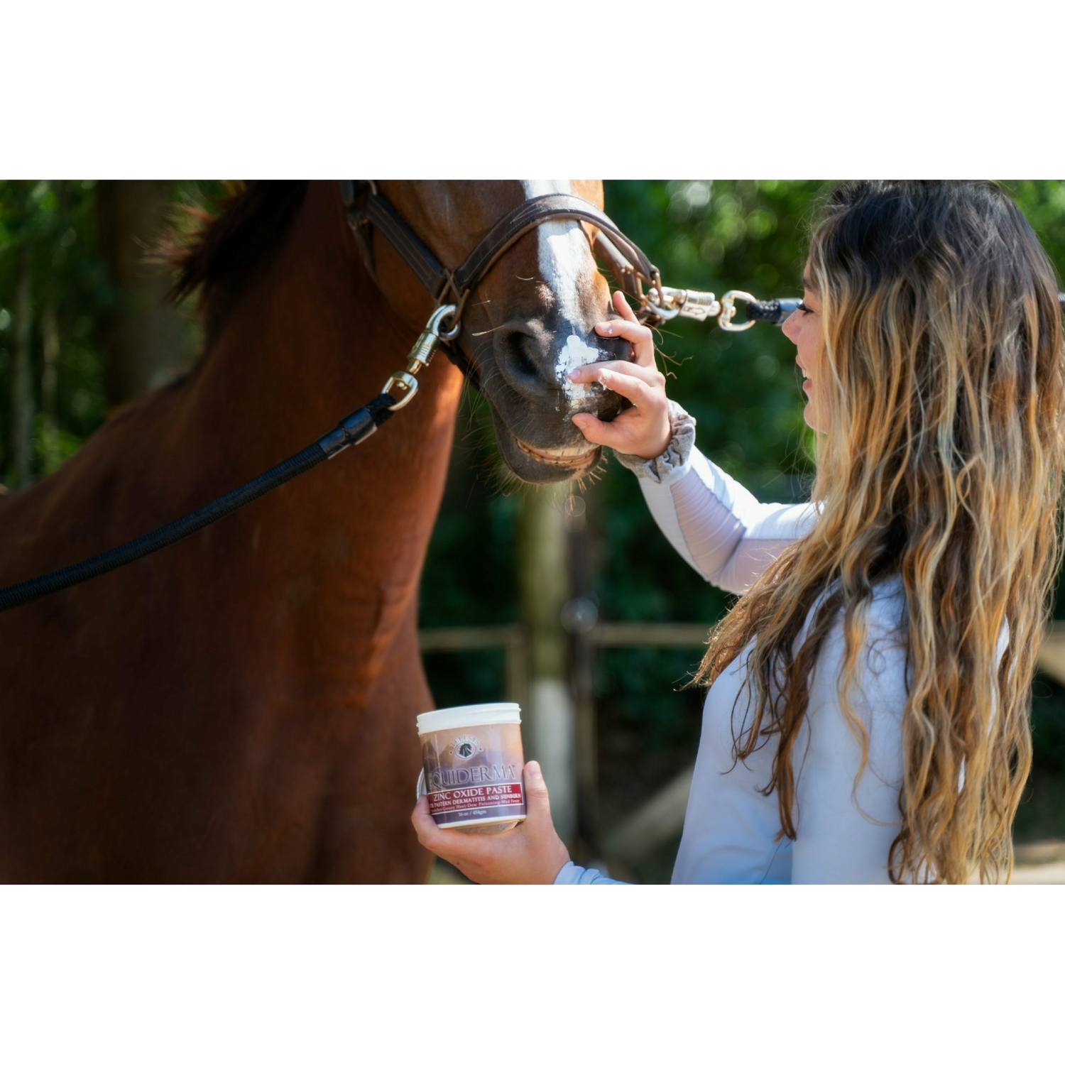 Equiderma Zinc Oxide Paste Being Applied to Horse