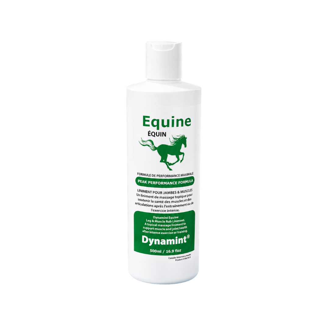 Equine Dynamint Leg and Muscle Rub