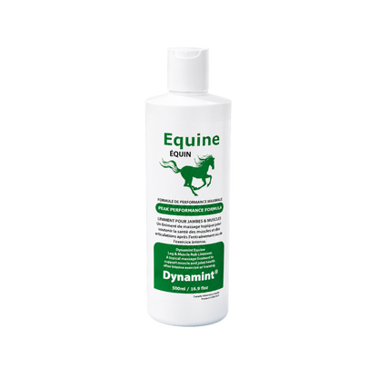 Equine Dynamint Leg and Muscle Rub