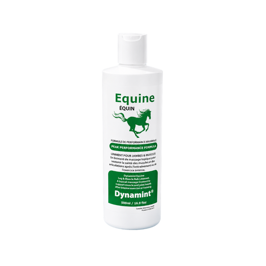 Equine Dynamint Leg and Muscle Rub