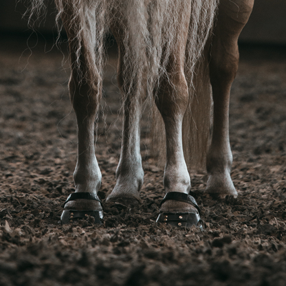 Scoot Boot Pastern Strap Single in Black on horse