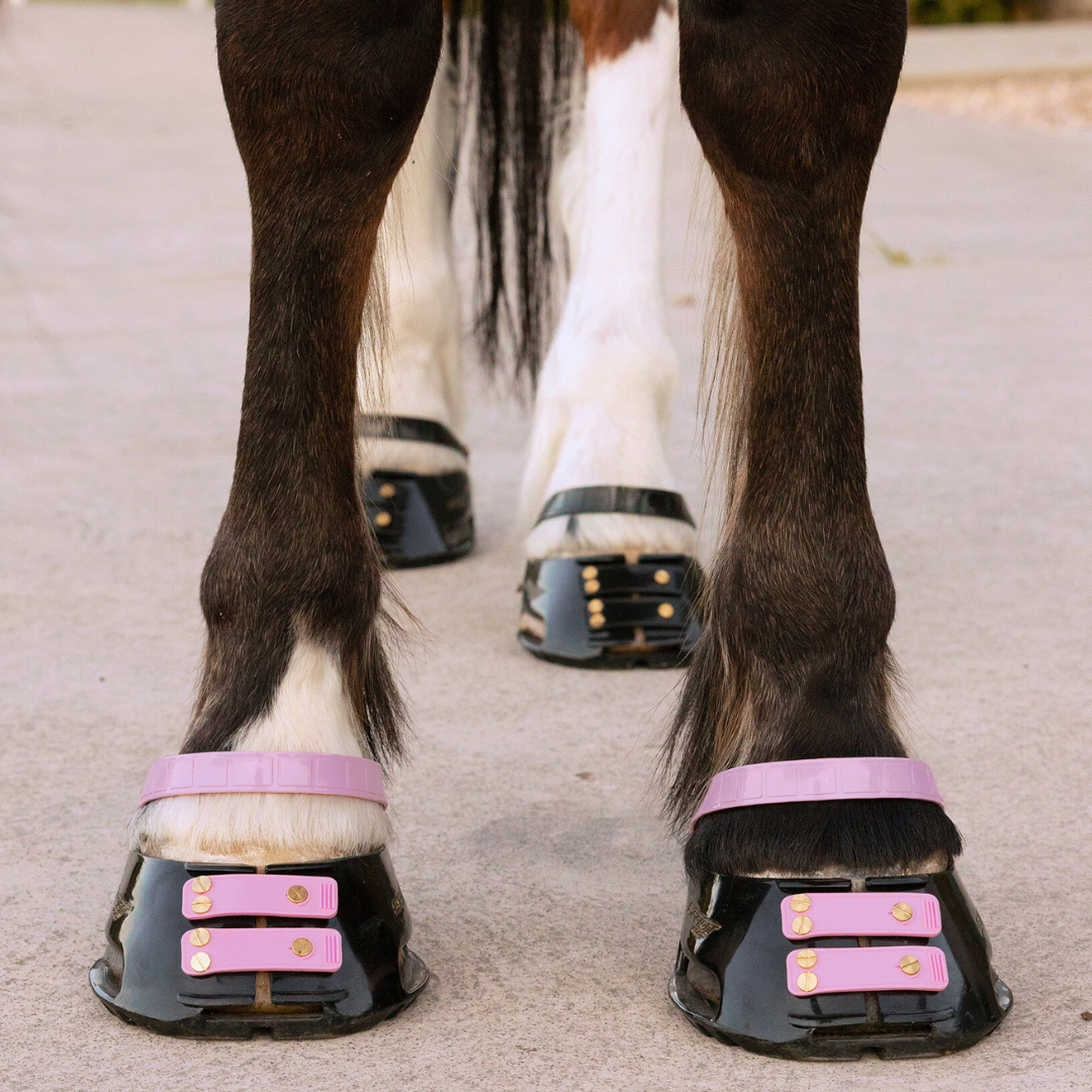 Scoot Boot Pastern Strap Single in Blossom on horse