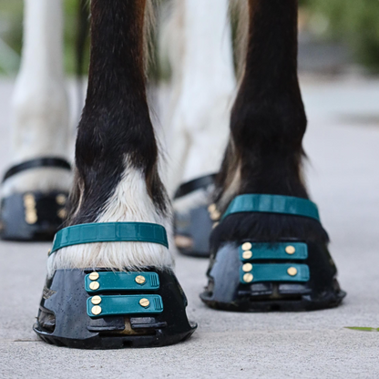 Scoot Boot Pastern Strap Single in Emerald on horse