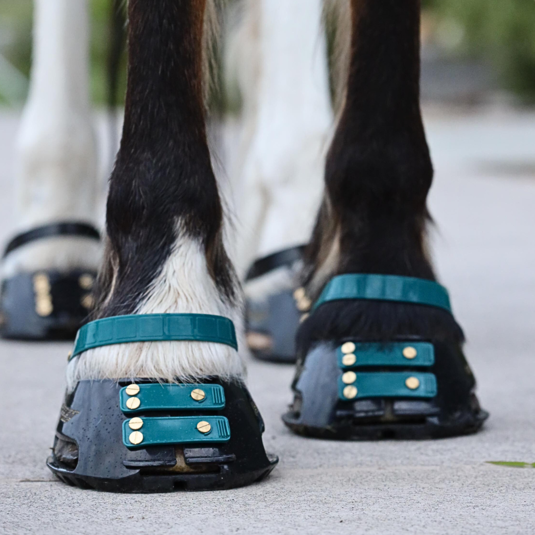 Scoot Boot Pastern Strap Single in Emerald on horse