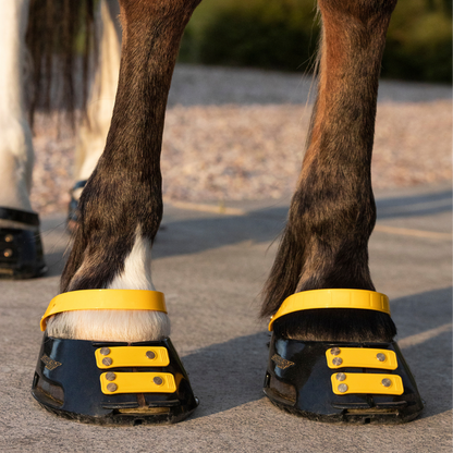 Scoot Boot Pastern Strap Single in Marigold on horse