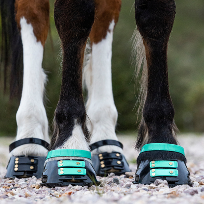 Scoot Boot Pastern Strap Single in Marine on horse