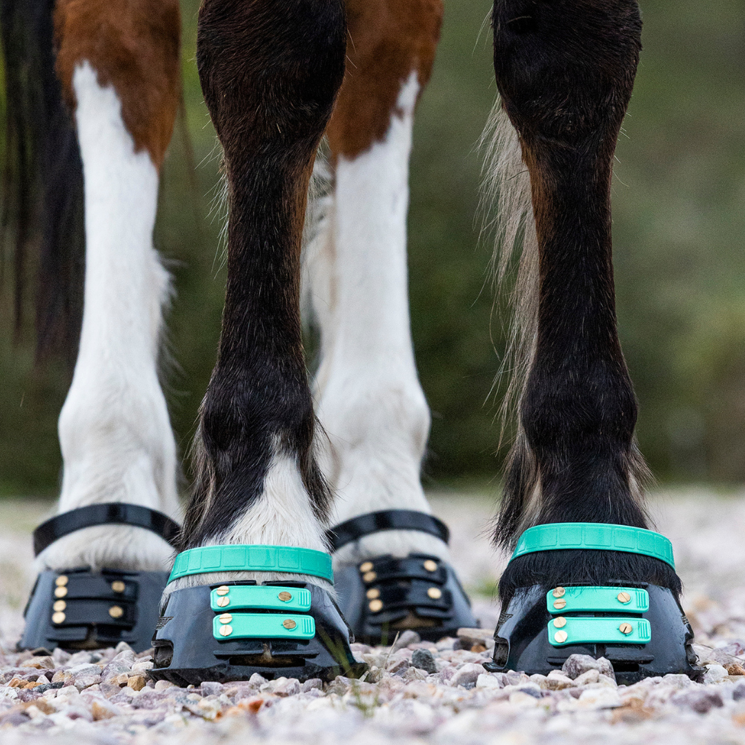 Scoot Boot Pastern Strap Single in Marine on horse
